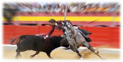 Description: Bull fighting in Spain