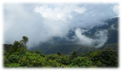 Clouds Gunung Brinchang Cameron highlands Malaysia